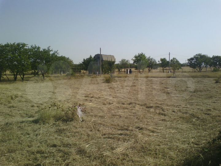 Участок 8,5 сот. (СНТ, ДНП)