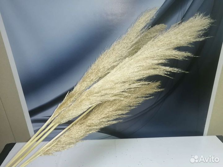 Муляж(слива и киви), лаванда для интерьера