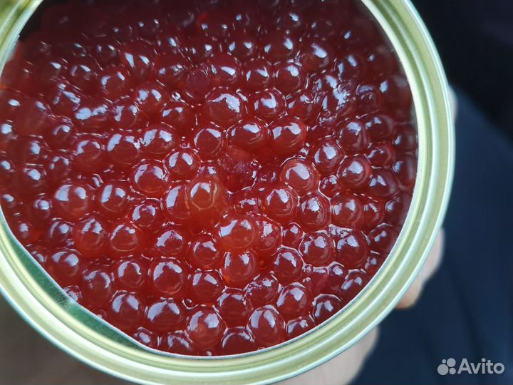 Икра красная оптом