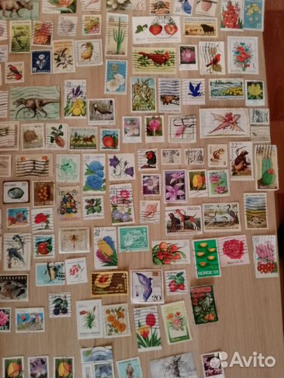 Марки спорт, техника и флора и фауна