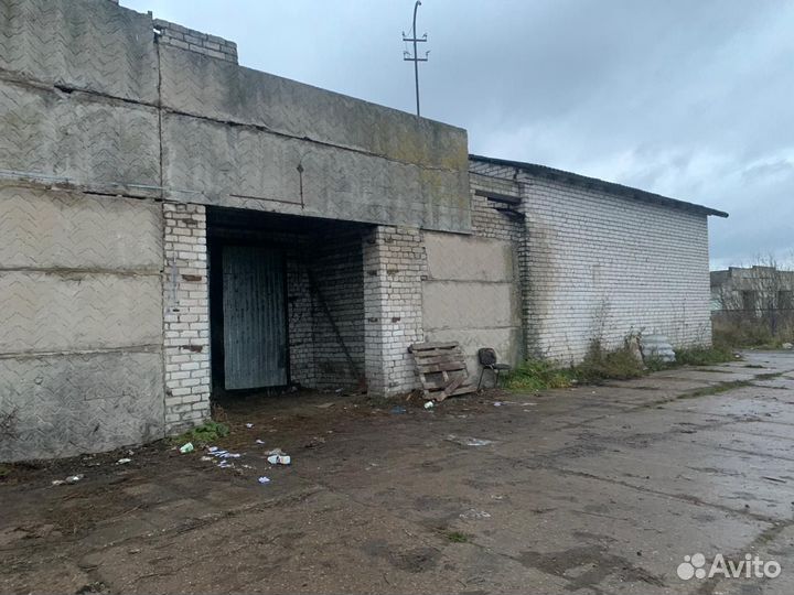 Животноводческая ферма