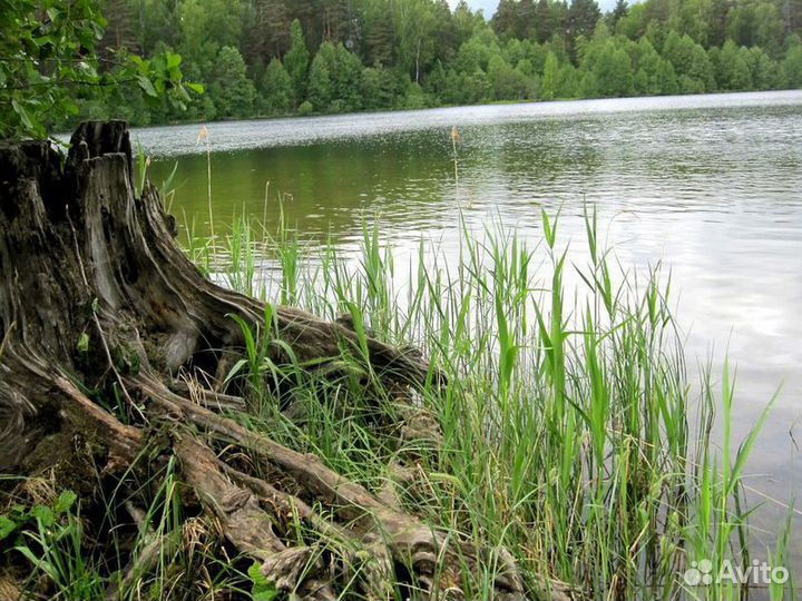 Экскурсия — Нижний Новгород — Град Китеж и озеро С