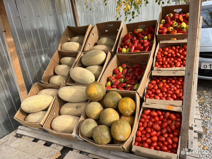 Овощи фрукты