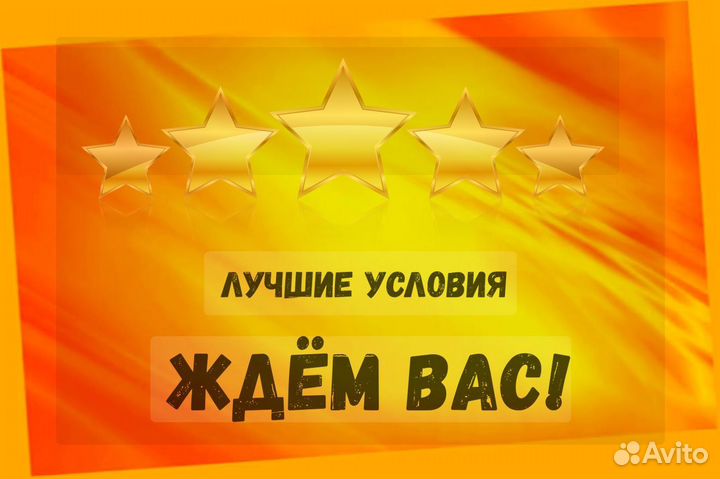 Комплектовщик Спецодежда Еженедельный аванс М/Ж