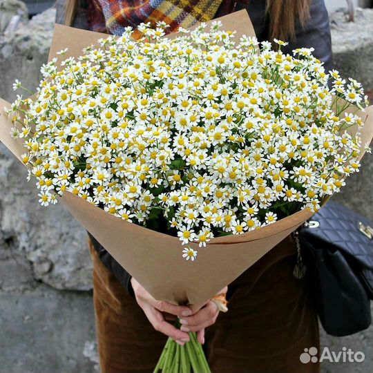 Букет ромашек