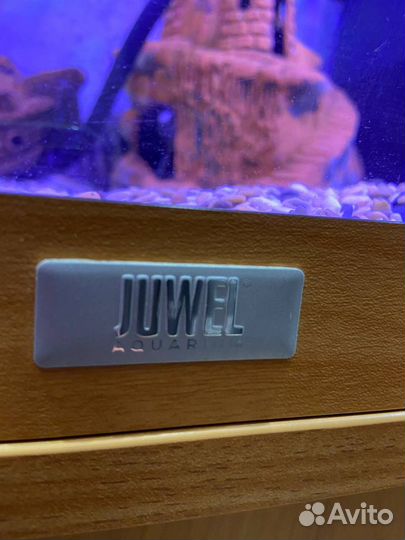 Аквариум с рыбами juwel 120 бу