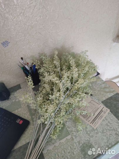 Декоративные ветки