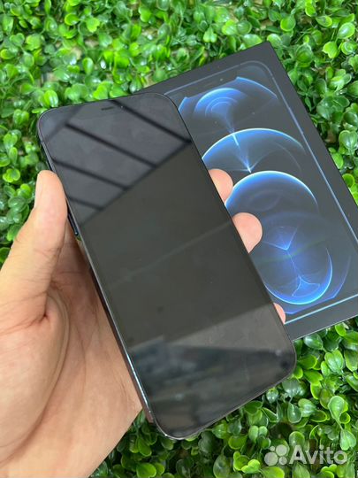 iPhone 12 Pro, 256 ГБ