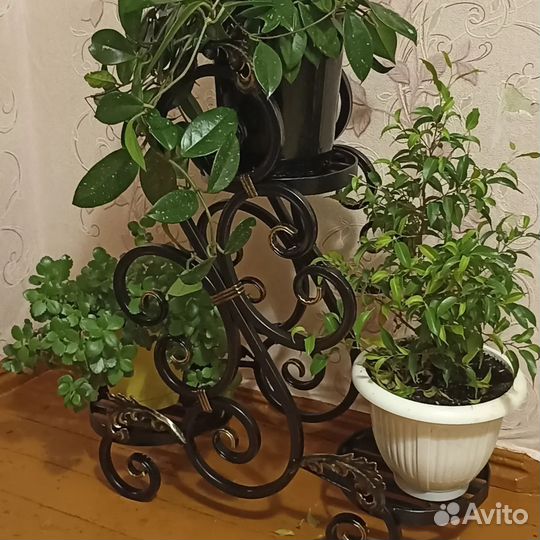 Кованная цветочница