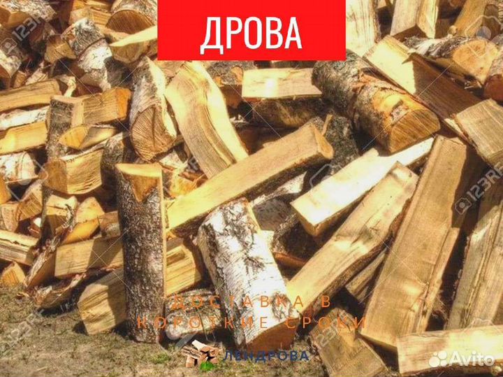 Дрова березовые