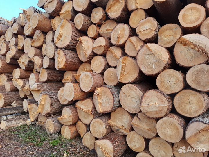 Срубы, сруб, зимний лес