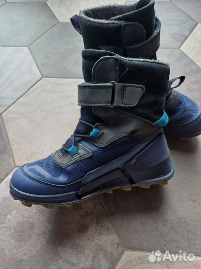 Ecco зимние 32
