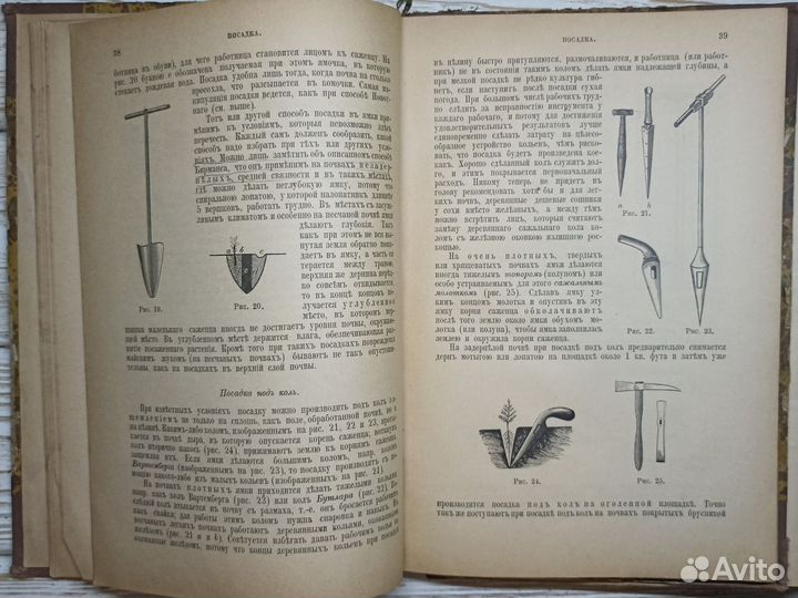3 старинные книги 1893г. О лесе, лесном хозяйстве