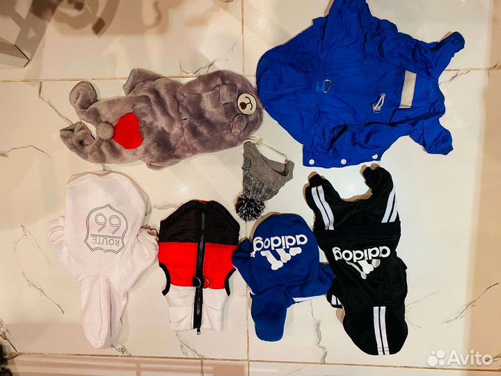 Пакетом одежда на собаку