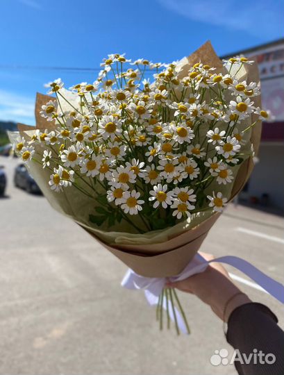 Ромашки цветы с доставкой
