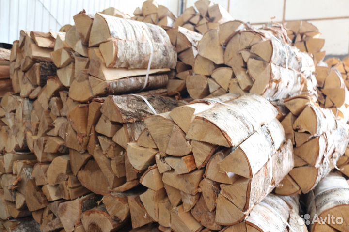 Дрова береза