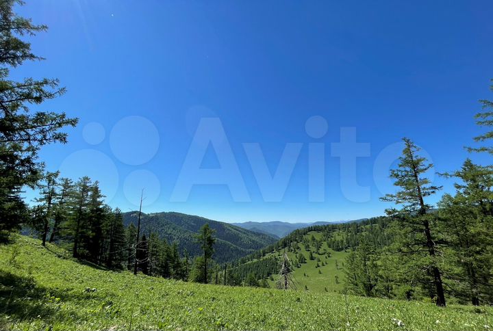 Участок 100 сот. (СНТ, ДНП)