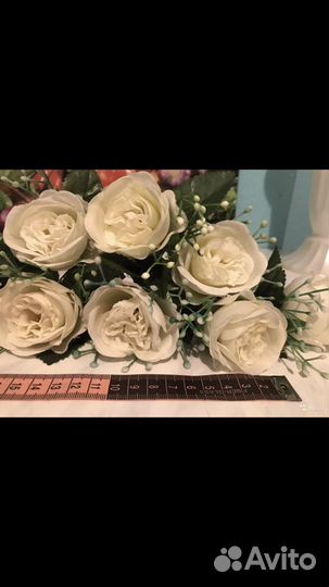 Цена за всё