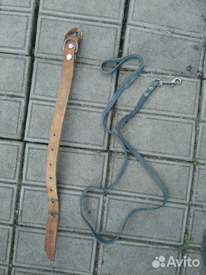 Ошейник,намордник,поводок собаке