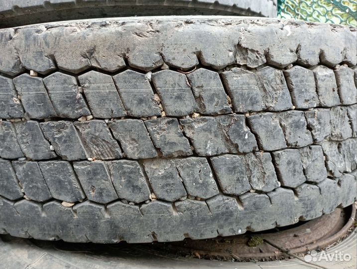 Кама 295 80 22,5