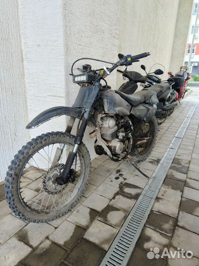 Irbis ttr250
