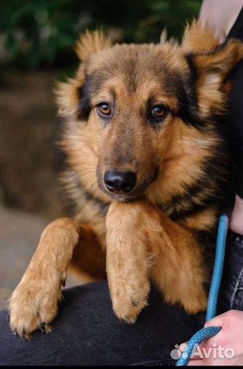 Мое детство проходит в приюте