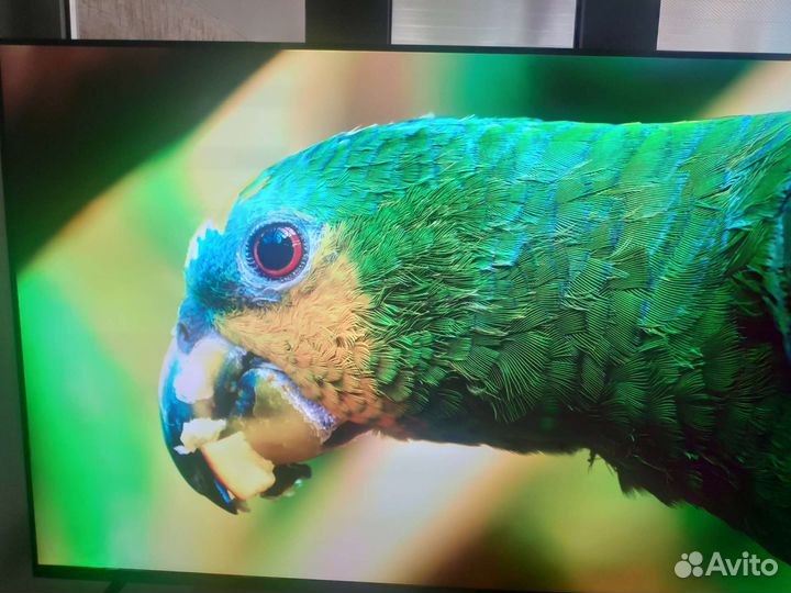 Телевизор xiaomi mi tv 5 pro 55