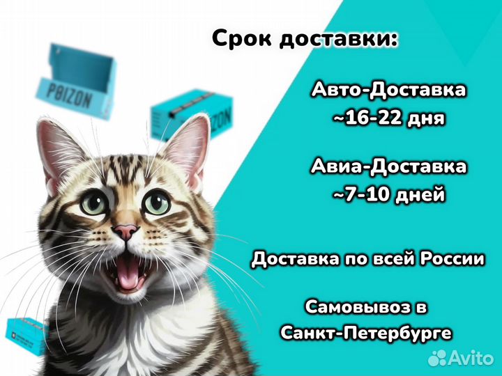 Доставка с Poizon