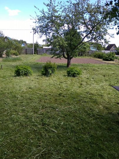 Дача 20 м² на участке 6 сот.