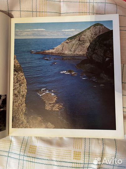 В. Е. Гиппенрейтер Командоры