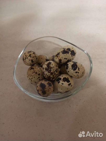 Яйца перепелиные