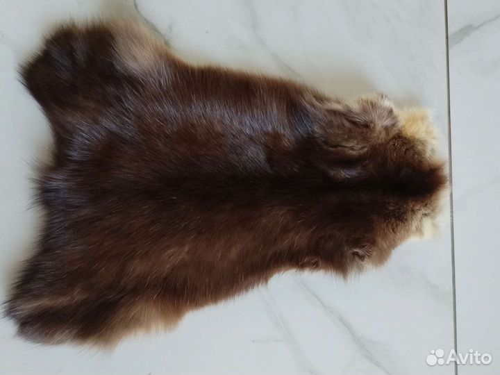 Шкурки соболя