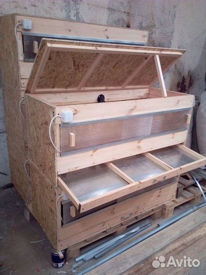 Брудер для цыплят