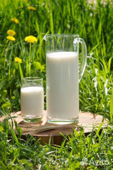 Козье молоко