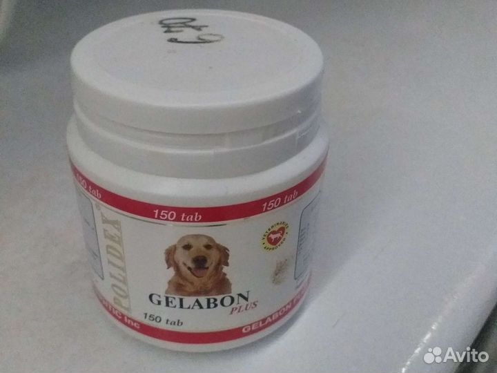 Поднимет ушки собаке