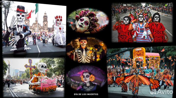 Оформление презентаций, брошюр, визиток