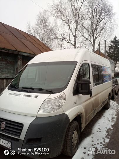 Грузопассажирские перевозки