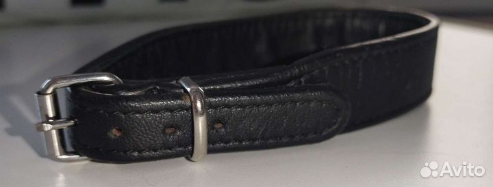 Ошейник (кожа нат.) для маленьких собак или