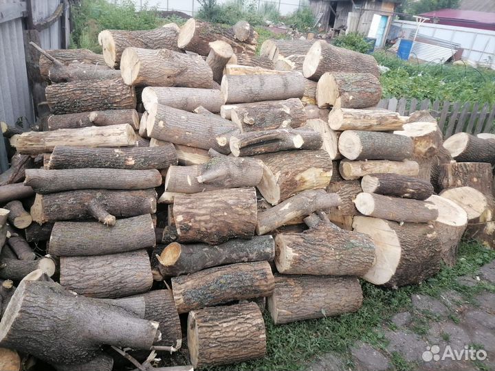 Дрова кленовые