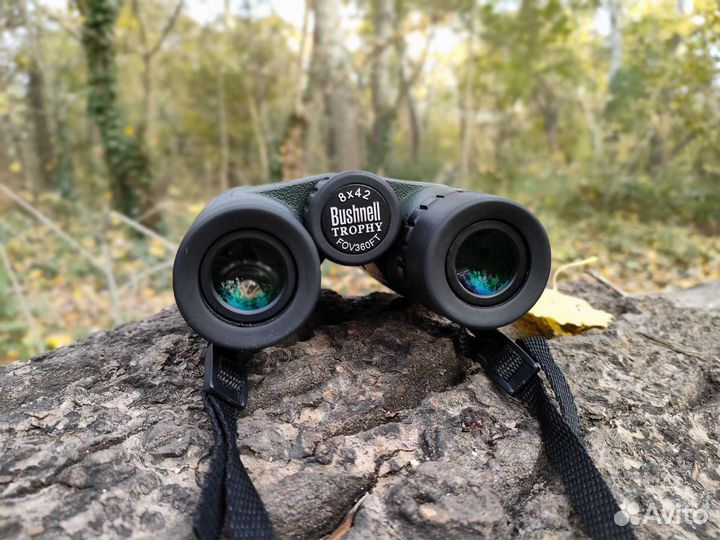 Бинокль Bushnell Trofy 8x42