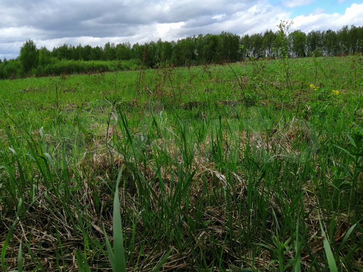 Участок 5,4 га (СНТ, ДНП)