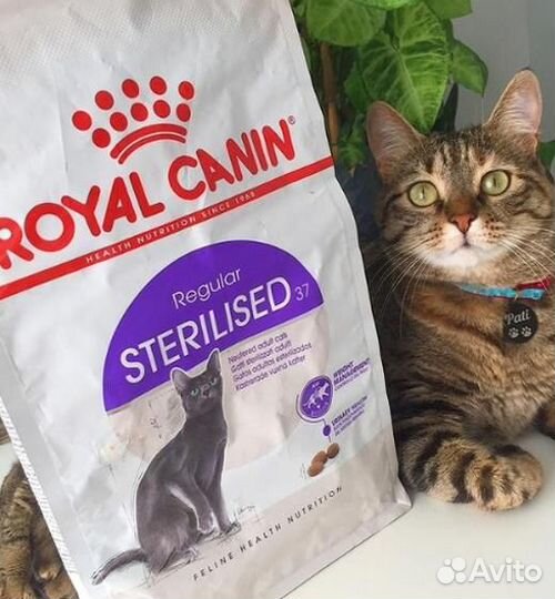 Роял канин для кошек стерилизованных 4 кг Royal Ca