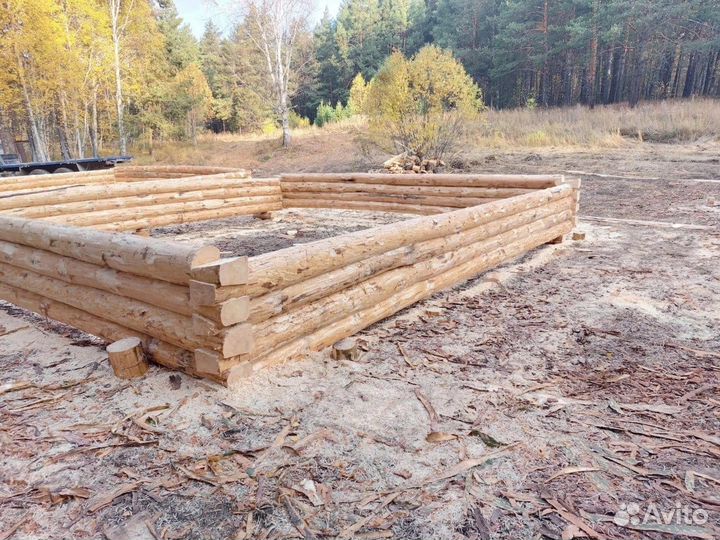 Срубы. Зимний лес Лапа и чаша