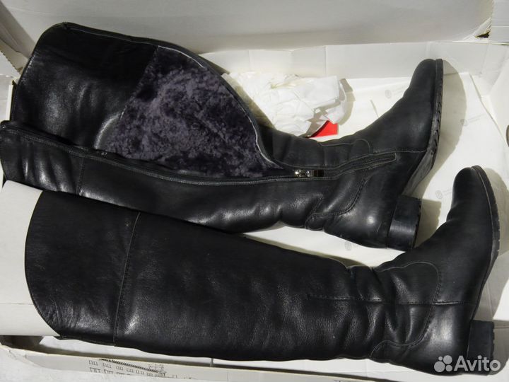 Женские ботфорты Francesco Donni