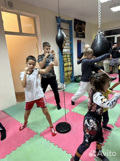 Тренировки Бокс