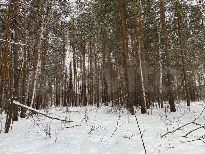 Участок 4,35 га (СНТ, ДНП)