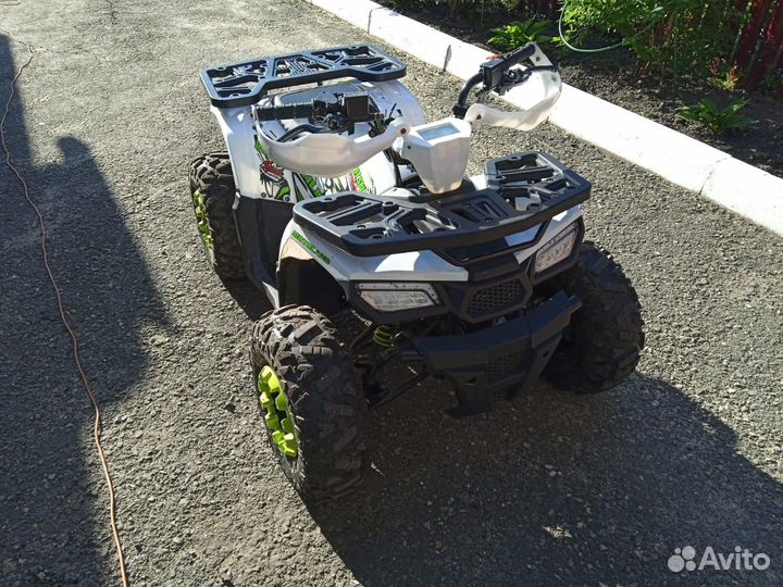 Квадроцикл motoland wild track LUX 200