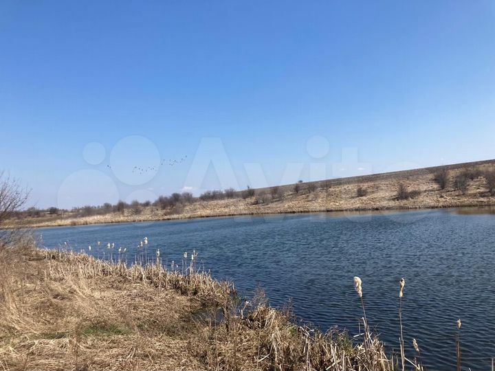 Участок 7,8 га (СНТ, ДНП)