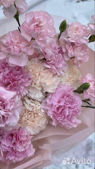 Гвоздика оптом