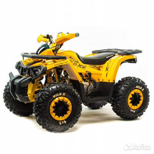 Motoland 125 wild X NEW